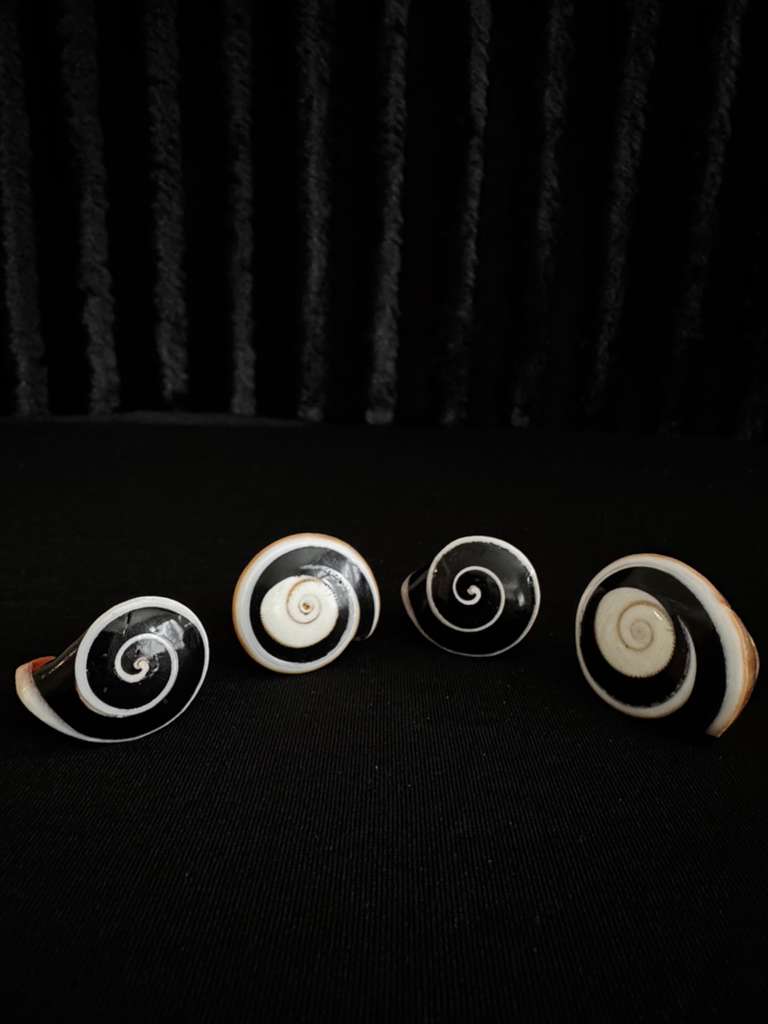 Coral Rings