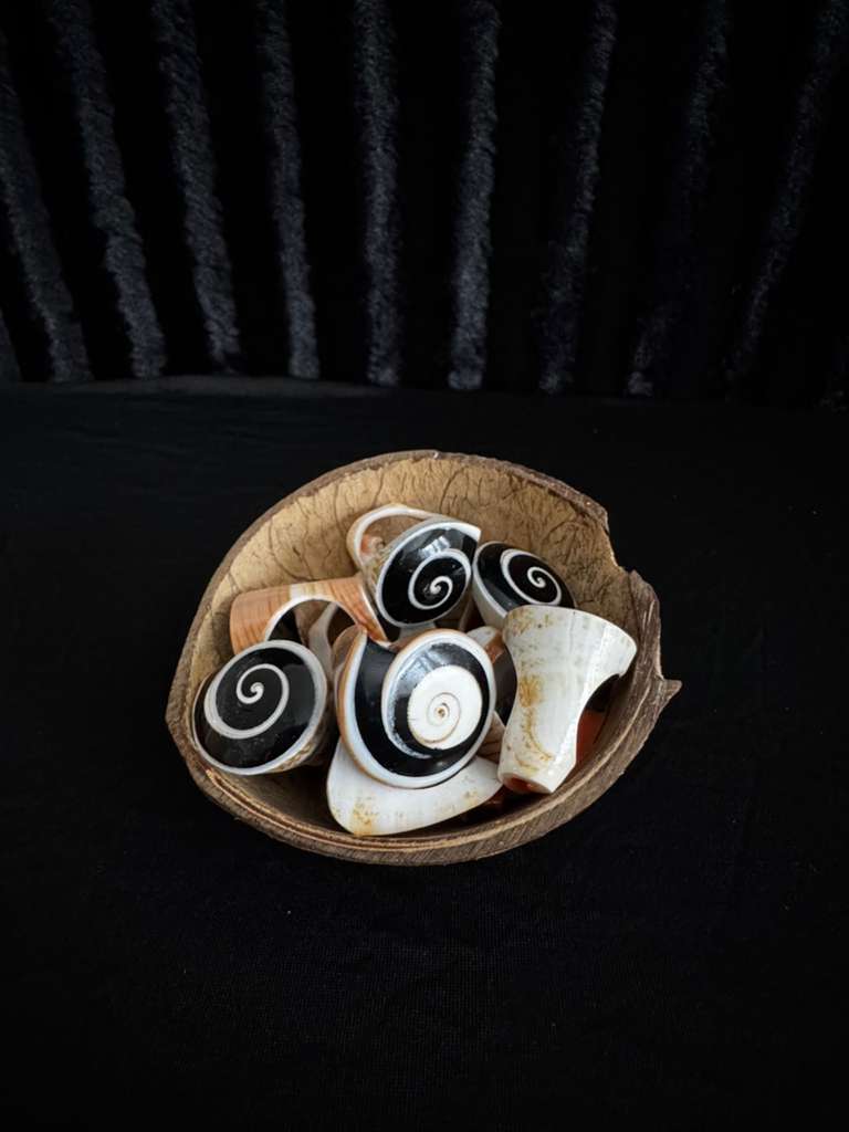 Coral Rings