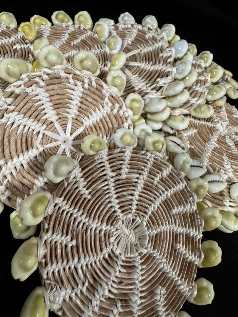Cowry Coaster