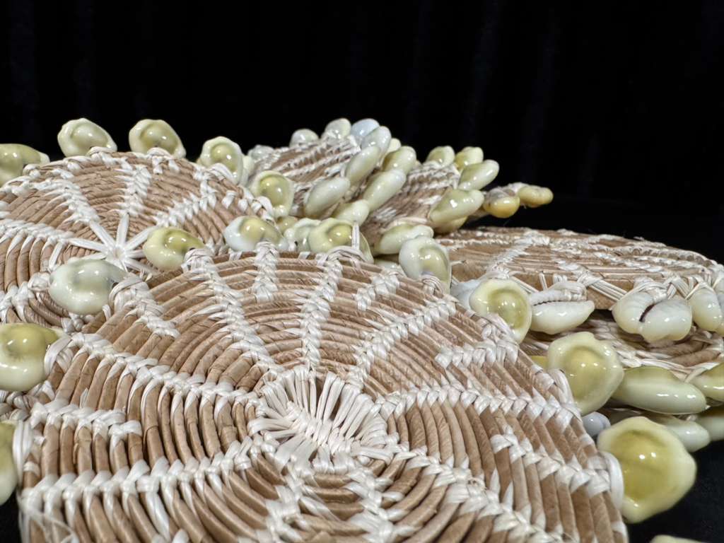 Cowry Coaster