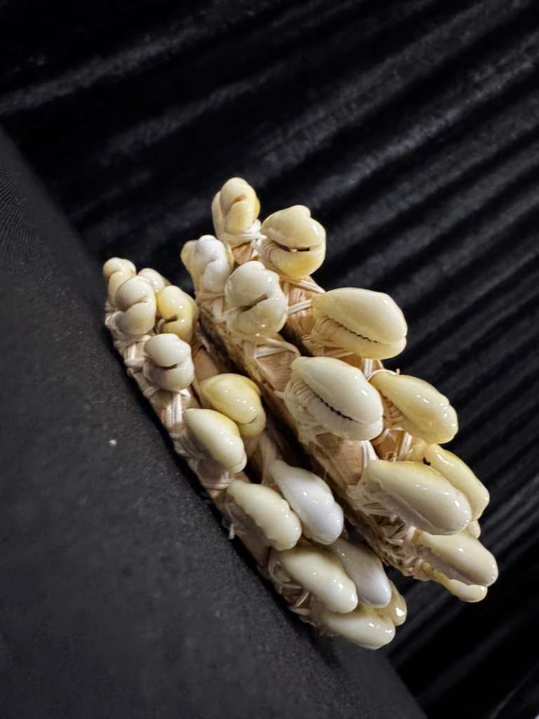 Cowry Coaster