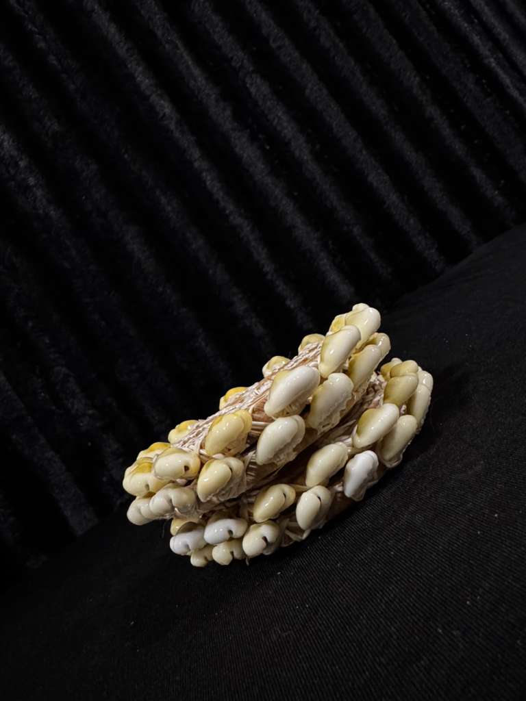Cowry Coaster