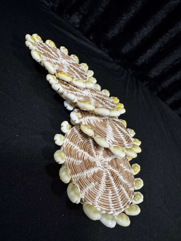 Cowry Coaster