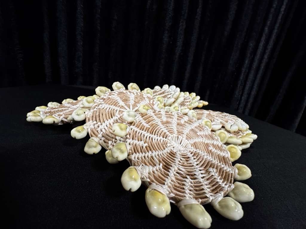 Cowry Coaster